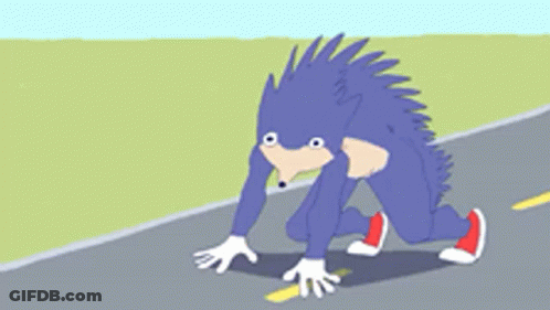 Hedgehog Preparing To Run GIF