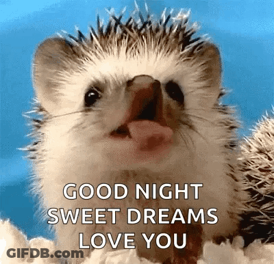 Hedgehog Saying Good Night GIF