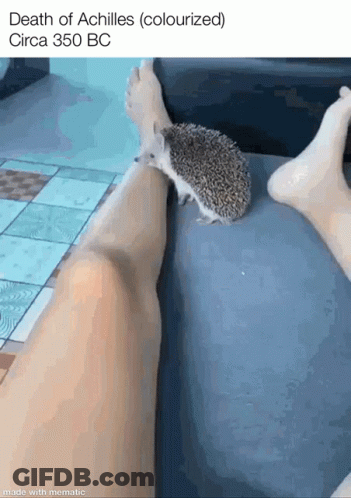 Hedgehog Sitting On Leg Death Of Achilles Colourized Circa 350 BC GIF
