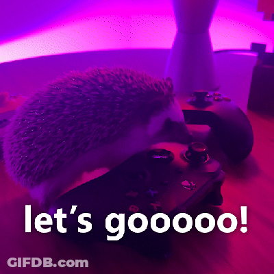 Hedgehog Sitting On Video Game Controller GIF