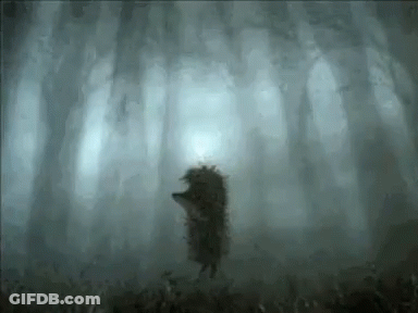 Hedgehog Standing In Foggy Forest GIF