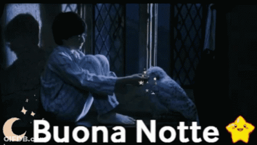 Hedwig Buona Notte GIF