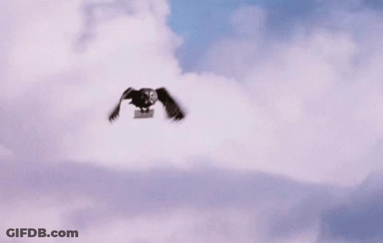 Hedwig Delivering Mail At Sky GIF