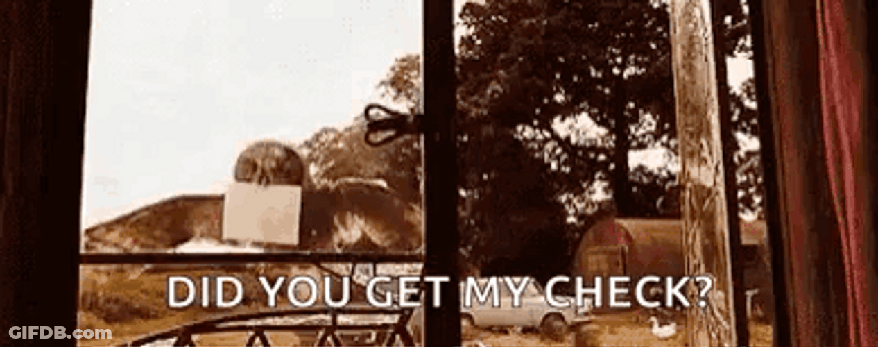 Hedwig Did You Get My Check GIF