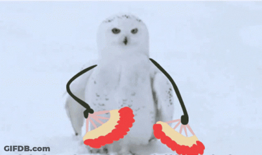 Hedwig Fan Dance GIF