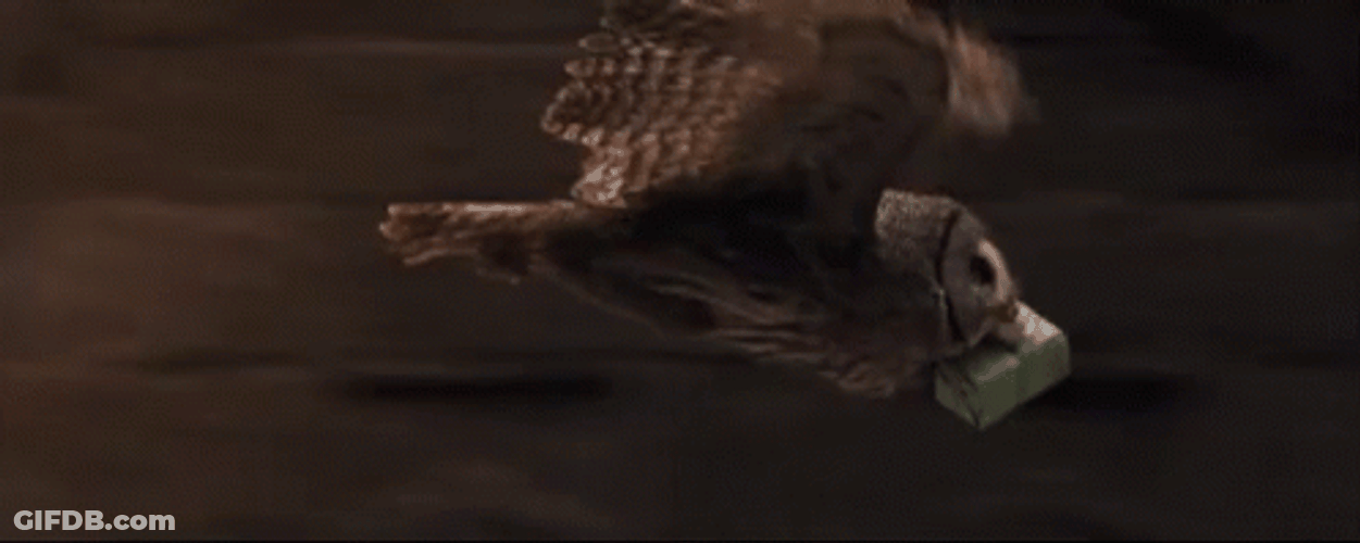 Hedwig Flying Fast GIF