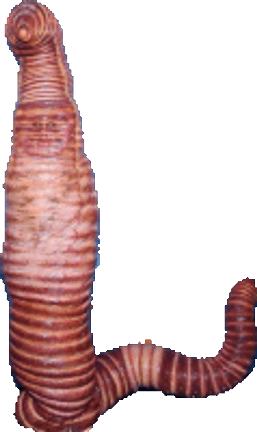 Heidi Klum Worm Sticker GIF