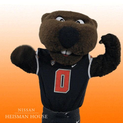 Heisman House Benny Beaver Flexing Muscles GIF