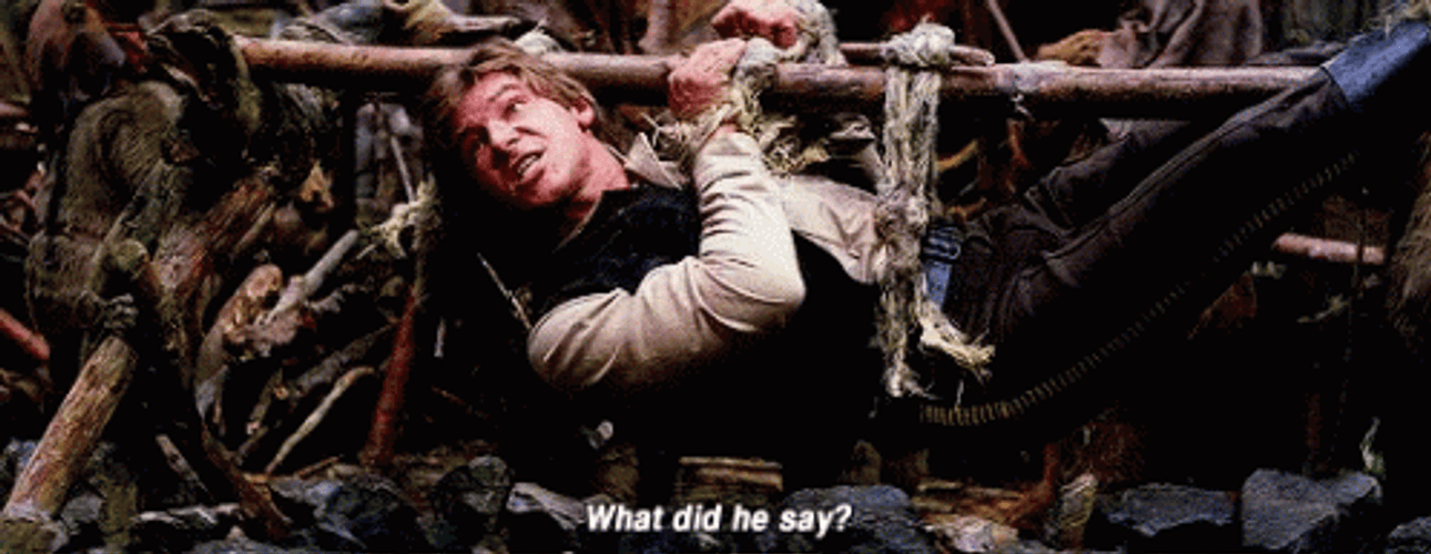 Held Hostage By Ewok GIF