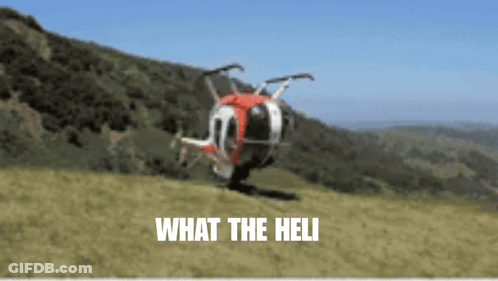 Helicopter Flying Over Grassy Hill Saying What The Heli GIF