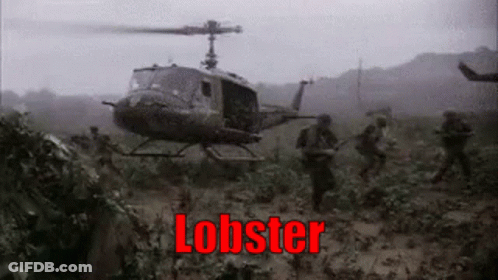 Helicopter Flying Over Soldiers With Lobster GIF