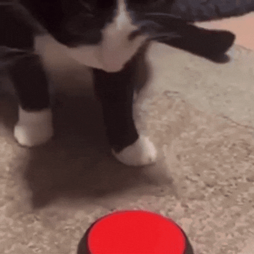 Hell To The Naw Kitty Pushing Button GIF