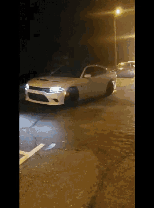 Hellcat Park GIF