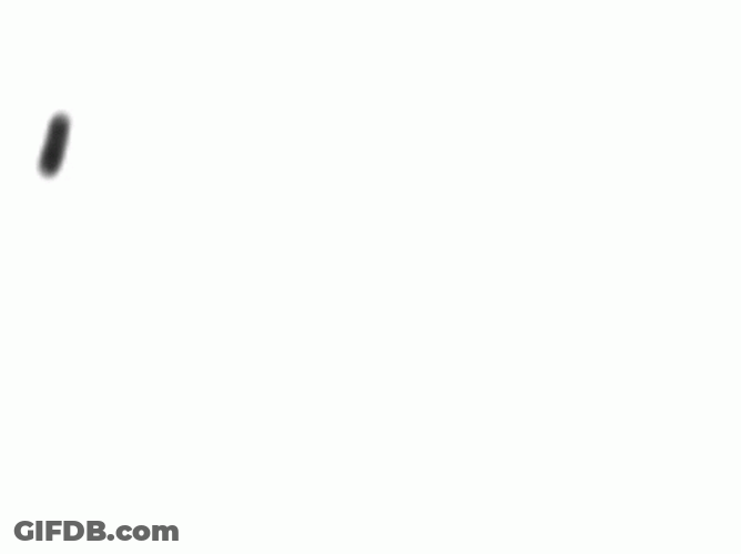 Hello Animated Marker Handwriting GIF