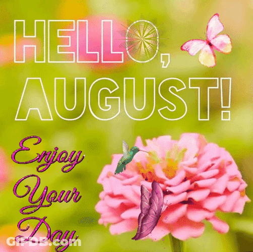 Hello August Message Of The Day GIF