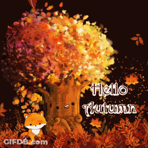 Hello Autumn Fox Fall Leaf Tree Siting GIF