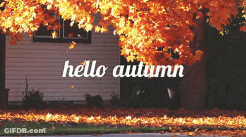 Hello Autumn Sign In Front Of Tree GIF