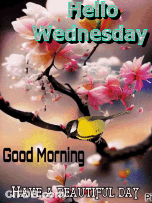 Hello Beautiful Good Morning Wednesday GIF