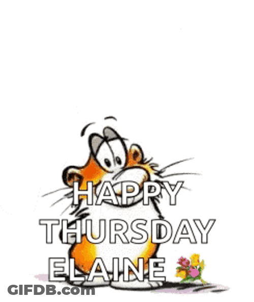 Hello Bright And Beautiful Thursday GIF