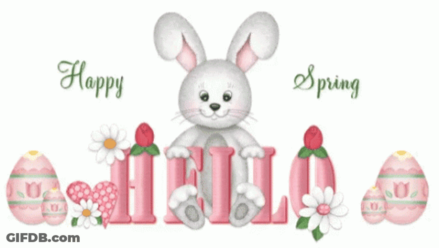 Hello Bunny Happy Spring GIF