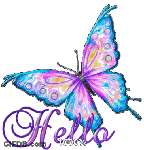 Hello Butterfly GIF