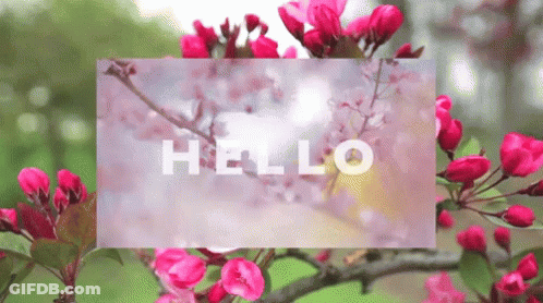 Hello Card GIF
