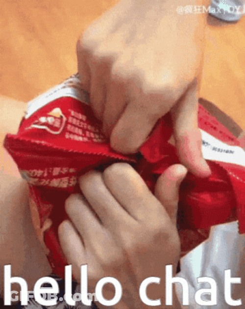 Hello Chat Cat Chips GIF