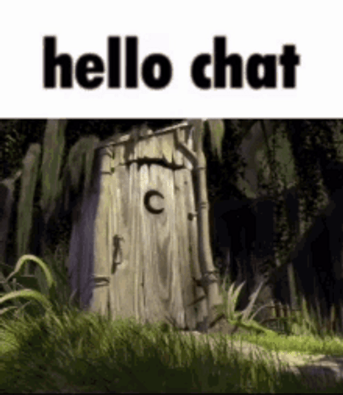 Hello Chat Shrek Memes GIF