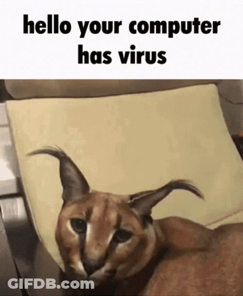 Hello Computer Virus Big Floppa GIF