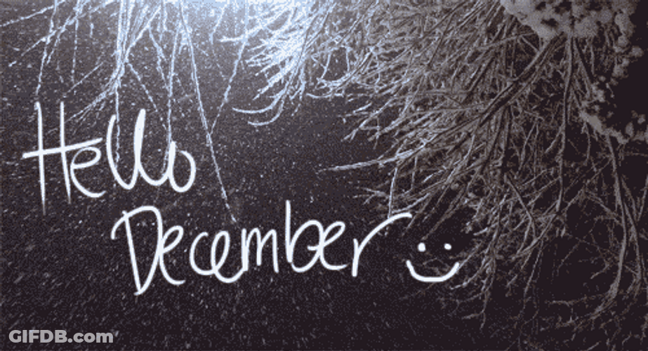 Hello December Snowfall On Tree Background GIF