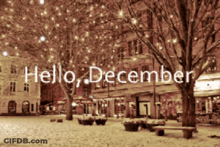 Hello December Twinkling Christmas Lights GIF