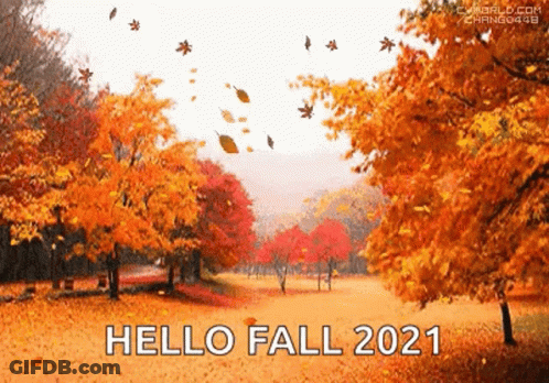 Hello Fall 2021 Autumn Leaves Falling GIF
