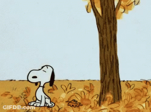 Hello Fall Sign With Fire GIF