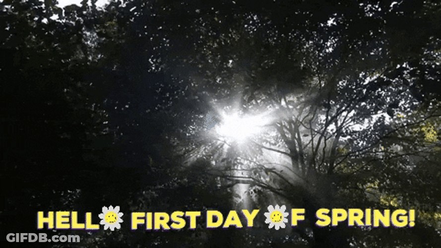 Hello First Day Of Spring GIF
