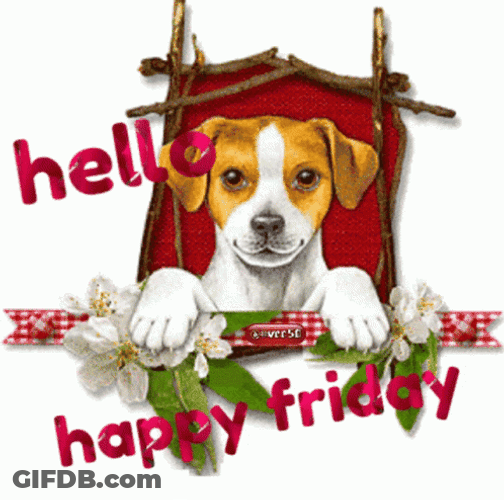 Hello Friday Dog Peeking GIF