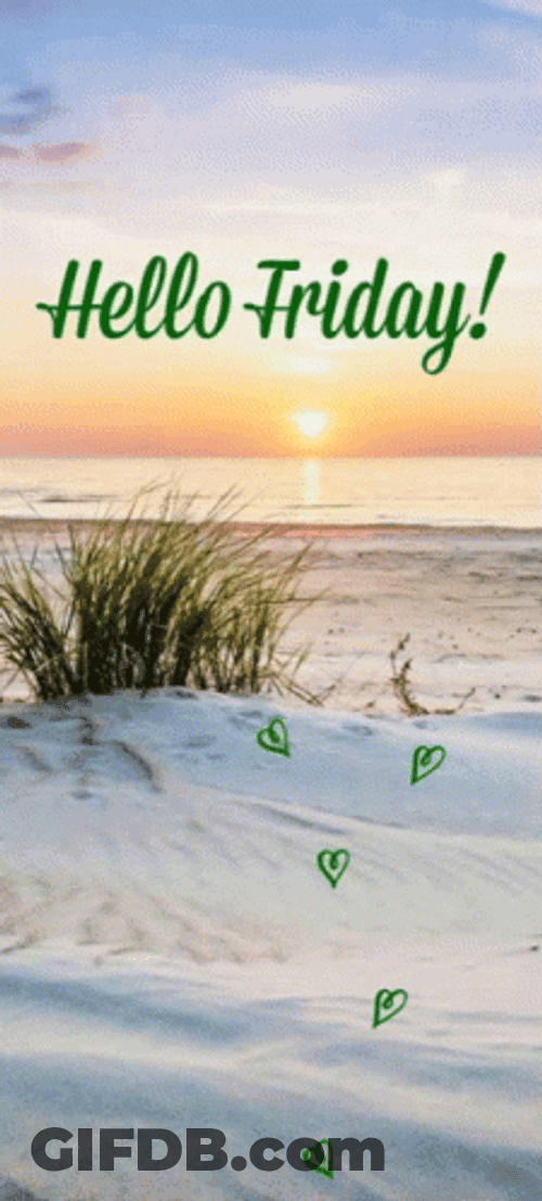 Hello Friday Morning At The Beach GIF