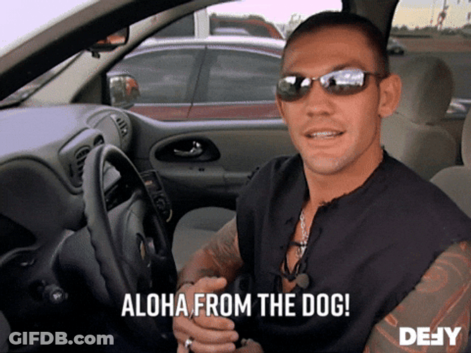 Hello From The Other Side From The Dog GIF