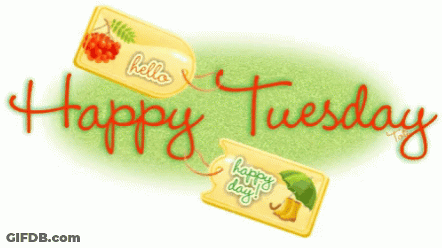 Hello Happy Thankful Tuesday GIF