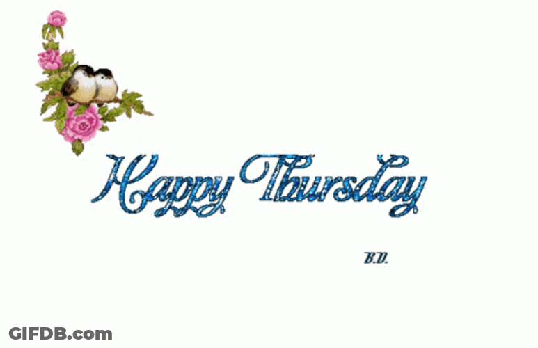 Hello Happy Thursday Couple Birds GIF