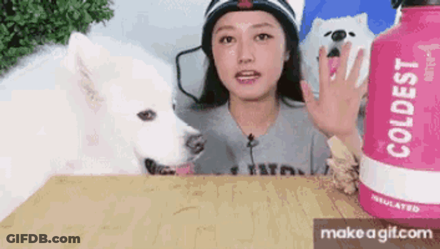 Hello Hi GIF