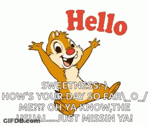 Hello Hi GIF