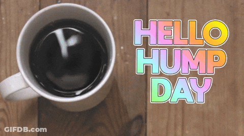 Hello Hump Day Coffee Cup GIF