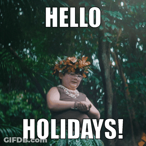 Hello It's Pto Holiday GIF
