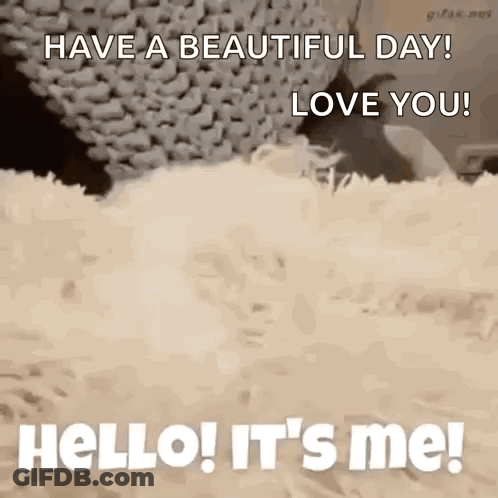 Hello Its GIF