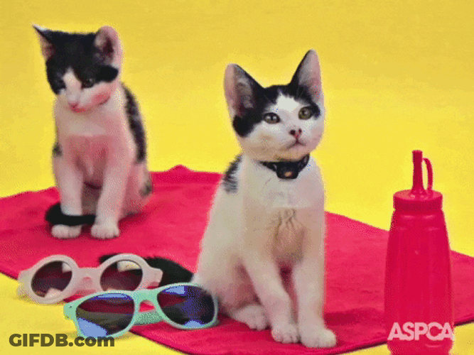 Hello July Its Summer Forever GIF