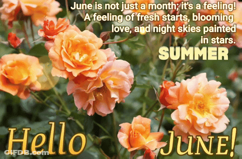 Hello June Card With Orange Flowers GIF