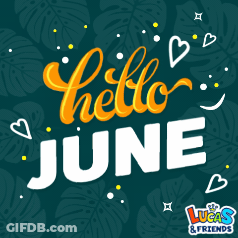 Hello June Lucas & Friends GIF