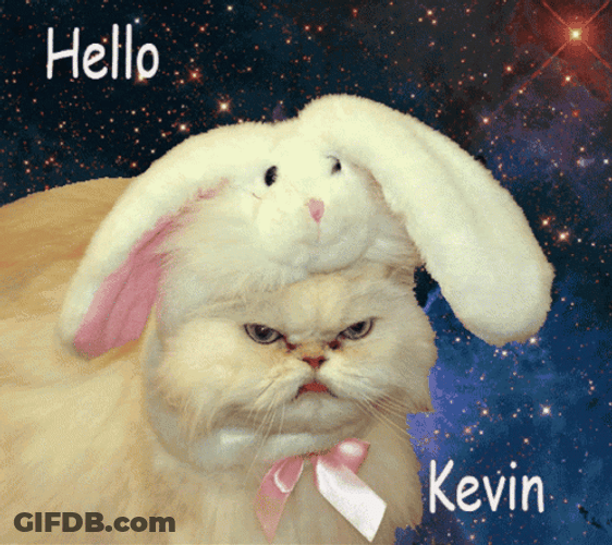 Hello Kevin Angry Space Cat Bunny GIF