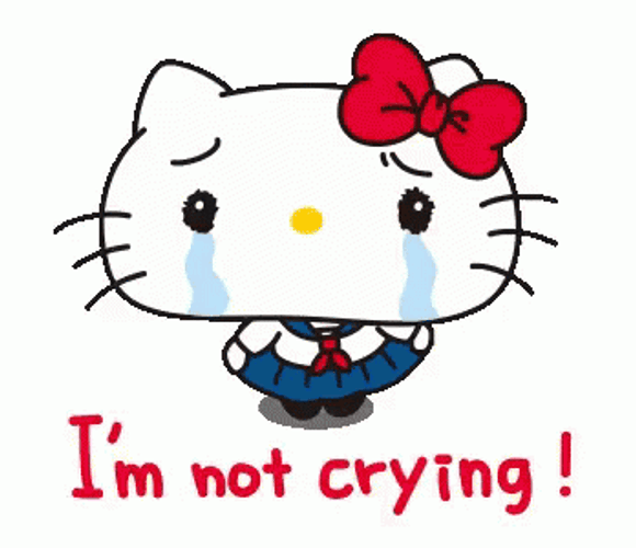 Hello Kitty Im Not Crying Youre Crying GIF