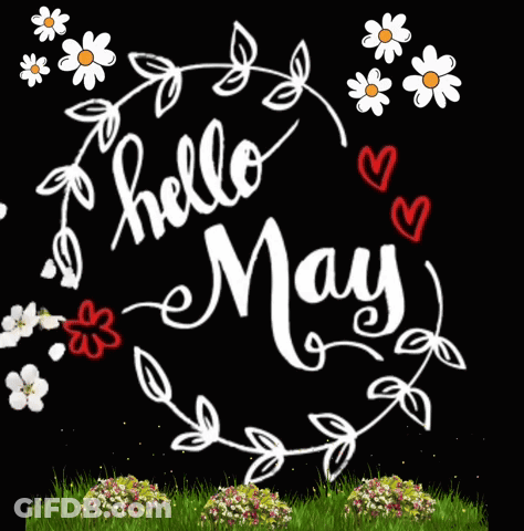 Hello May White Flowers And Red Hearts GIF